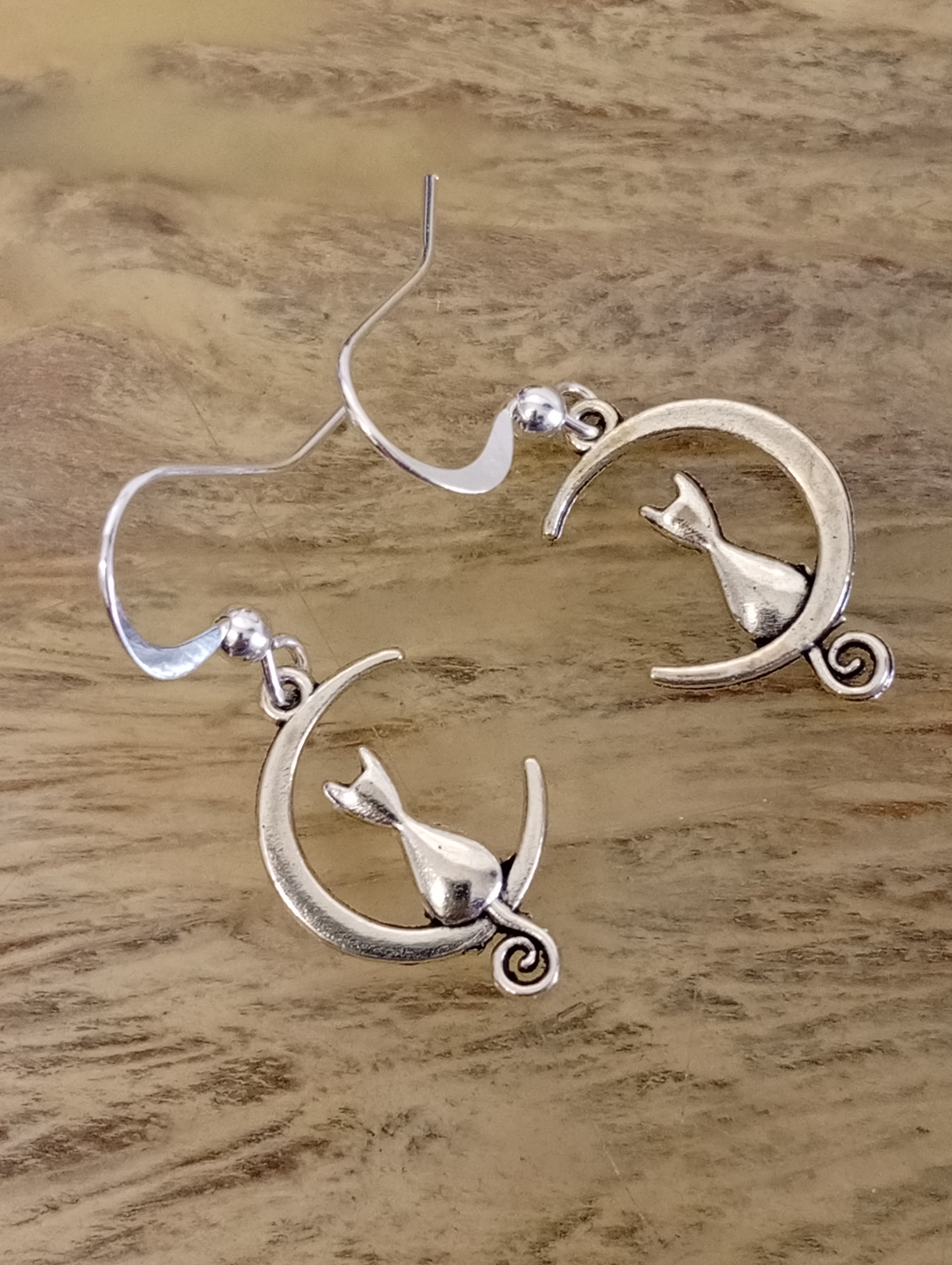 Imagen 9 de 12: Pendientes de colgar de acero
